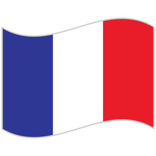 Expert en Langues - Français - Traduction Interprétariat Formation v